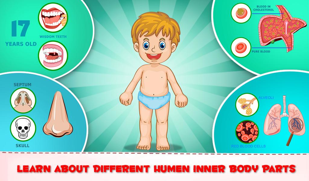 Learning Human Body Part - 2