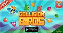 Collision Birds