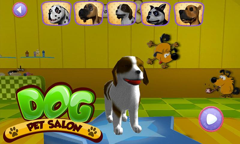 Dog Pet Salon